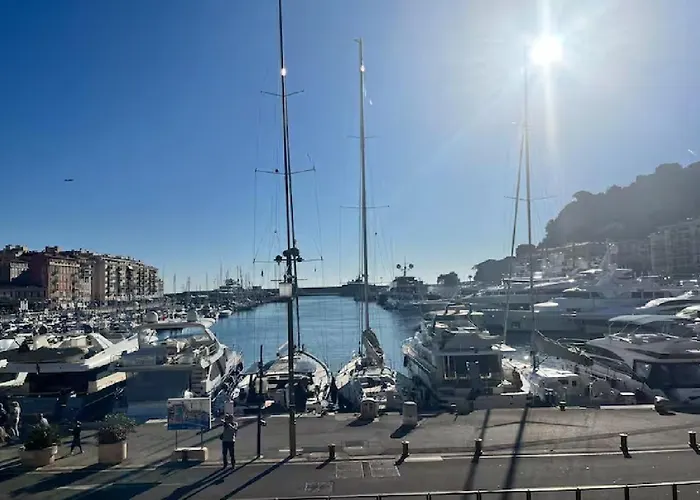 Magnifique Confortable & Renove Au Port De Apartman *